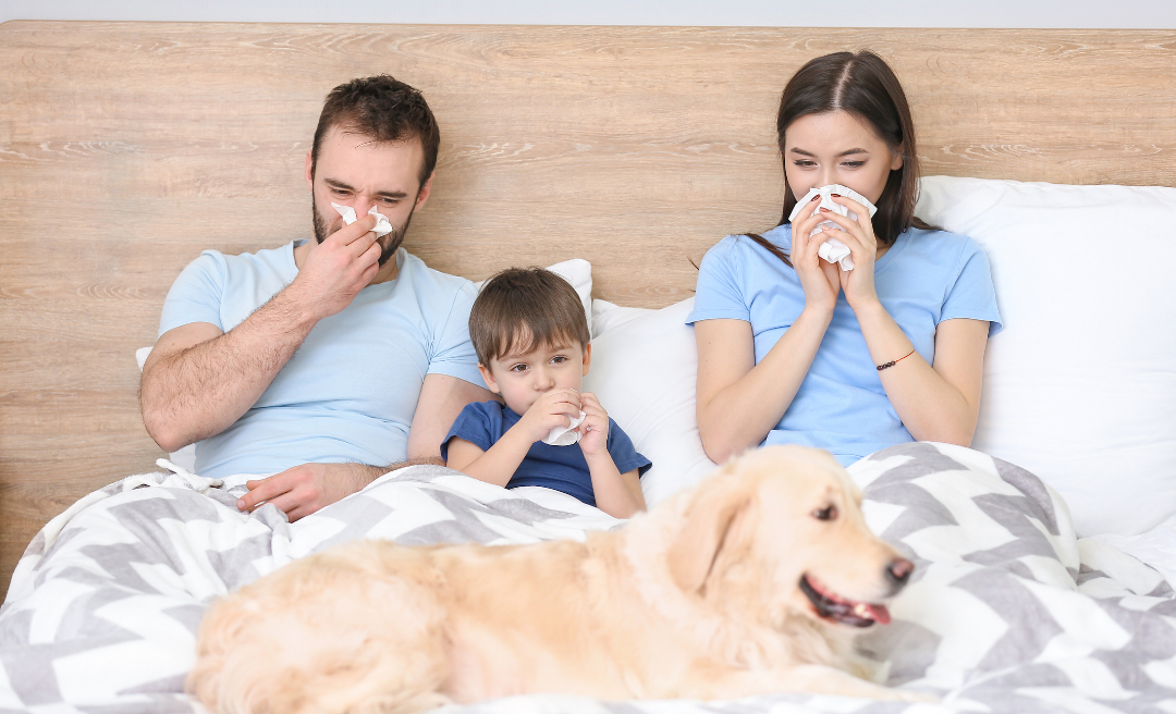 Winter Wellness in 2025 Protecting Your Family from Seasonal Flu and Illnesses