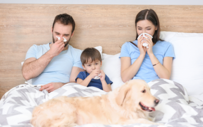 Winter Wellness in 2025: Protecting Your Family from Seasonal Flu and Illnesses