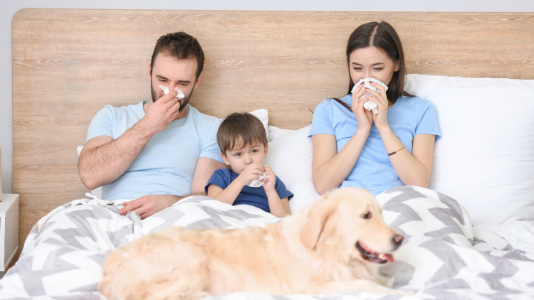 Winter Wellness in 2025: Protecting Your Family from Seasonal Flu and Illnesses